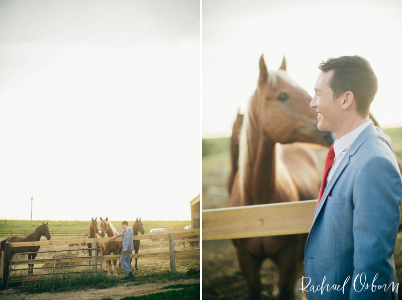 Rachael Osborn Photography // Iowa Illinois Wedding Photography  // wedding with horses
