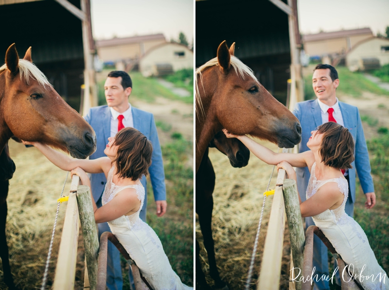 Rachael Osborn Photography // Iowa Illinois Wedding Photography  // horses