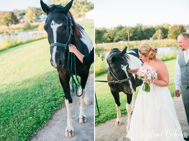 Rachael Osborn Photography //Ellis House & Equestrian Center Wedding - Naperville, Illinois Wedding Photography